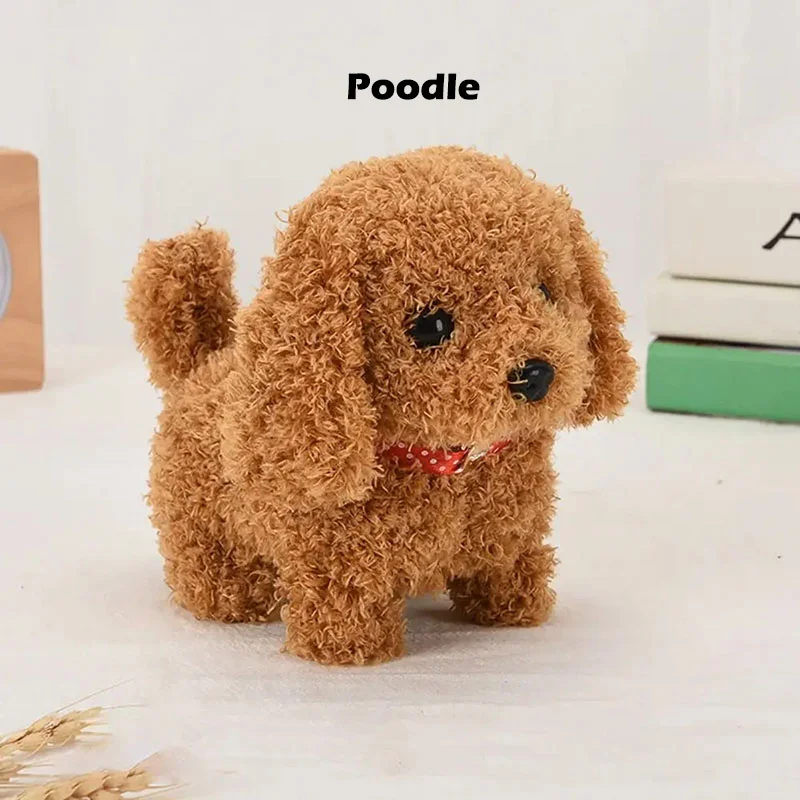 Cachorro de Estimação Interativo — Poodle — foto 1